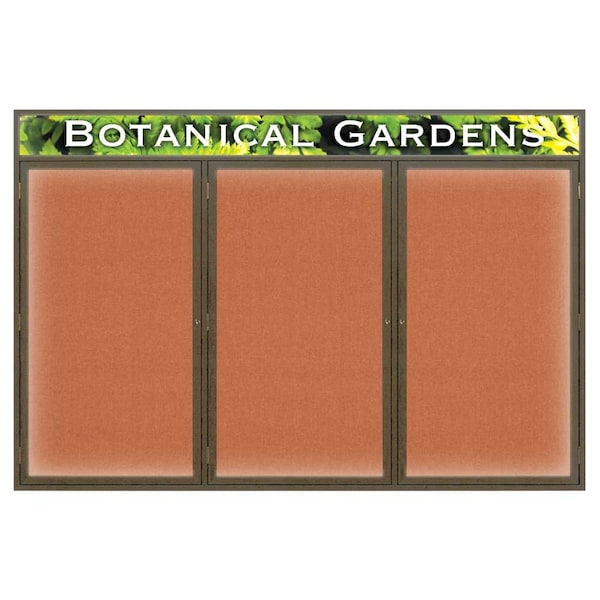 Open Faced Traditional Rounded Corkboard